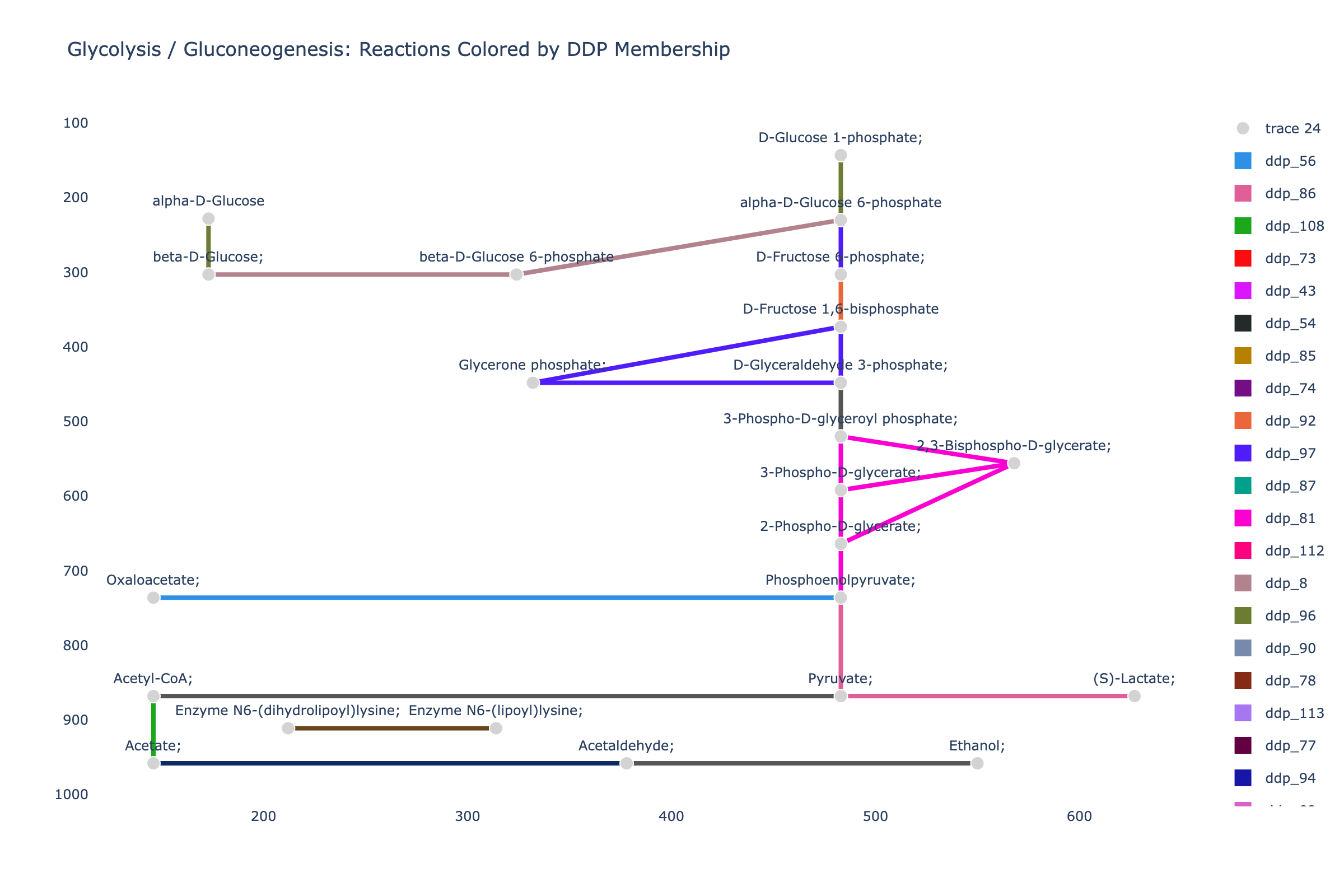 Glycolysis DDP plot